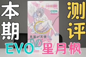 【机长测评】“枫与铃”飞机杯？！来自局长の特殊周边：见习天使（EVO）- “星月枫”